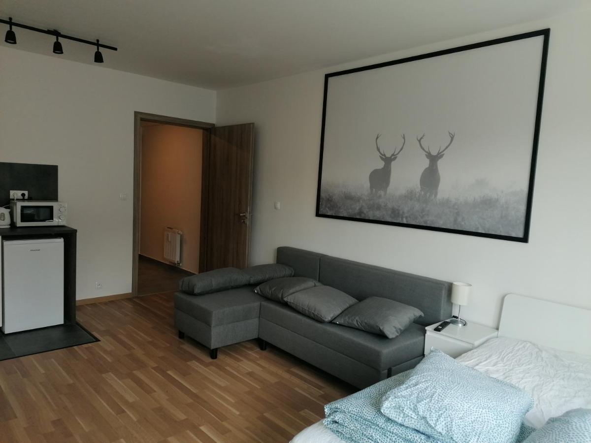 Brand New Studio Apartment #51 With Free Secure Parking In The Center Praha Exteriér fotografie