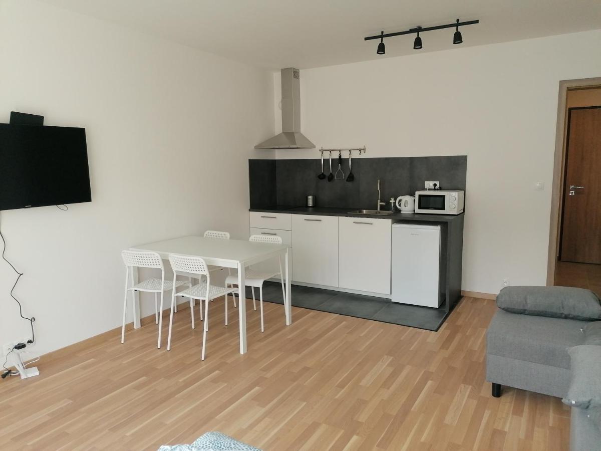 Brand New Studio Apartment #51 With Free Secure Parking In The Center Praha Exteriér fotografie